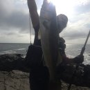 추자 정 민박 이미지