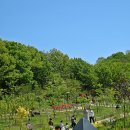 부천자연생태공원 이미지