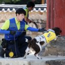 에스원 보청기 이미지