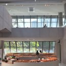 로띠 | 동래 신상 베이커리카페 로띠포레스트 방문 후기 내돈내산