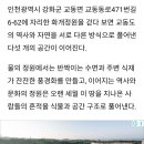 스카이정원 Daum카페