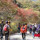 오색스포츠