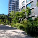 금남세탁소 이미지