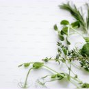 건강 요가-A 이미지