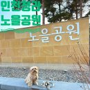 청라 노을공원 스케이트플라자 | 인천 강아지 산책하기 좋은곳 청라 노을공원 추천