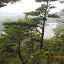초록공원 Daum카페