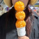 동빵제주동문