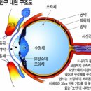 30대 아니 벌써 老眼?…PC모니터 뚫어지게 쳐다봤더니… 이미지