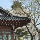 남한산성미용실 | 남한산성 한식 맛집 닭볶음탕 백숙 도토리묵 무침 개미촌, 드라이브 코스로 딱 좋은 집