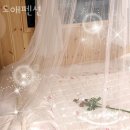 중앙공원사거리(KT 앞 교통섬) | 영종도펜션 도애펜션 영업시간 위치 안내
