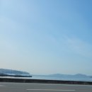 여좌어린이집 | 진해군항제/새벽에 출발해서 여유있게 다녀온이야기/해동용궁사
