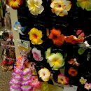 하와이 공연무대의 꽃 플루메리아(Plumeria) & 훌라걸 의상 Sarong 이미지