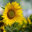 소설로 배우는 영어 이미지