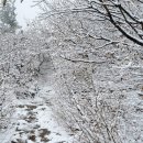 17년 만에, '10월 대설주의보' 설악산에 12㎝ 눈! 이미지