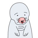 에브리데이 다이브