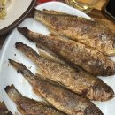 친구야삼치가자