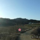 고성부동산중개사무소 이미지