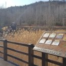 가원습지생태자연공원 이미지