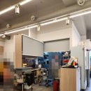 가마꽃돼지 이미지