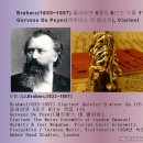 브람스/Brahms(1833~1897) 클라리넷 5중주 B단조 작품 115 이미지