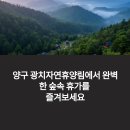 양구 광치자연휴양림 숙박·캠핑 완벽 가이드