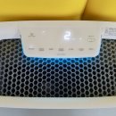 경희대킴스태권도장 이미지