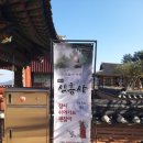 완도 신흥사 목조약사여래좌상 | [전남 완도] 신흥사 한달 템플스테이 - 13일차