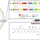 에스제이(SJ)환경 이미지
