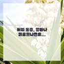 진정형외과의원 네이버블로그