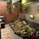 1111 | [공지] 제주 혼술바 일일일일 1111 내돈내산 후기/1111제주혼술바