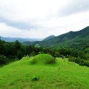 여호장묘 | 조선8대명당 고령신씨 시조 신성용(申成用)의 묘