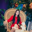 보은패션 이미지