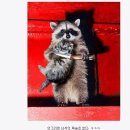 정오교통(주) 이미지