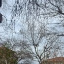 리라카정비 | [🇹🇷이스탄불] 11일차: 모다 해변, 보렉, 페리타고 카디쿄이에서 베벡으로, 스타벅스베벡, 오르타쾨이...