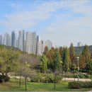원적산공원 티스토리