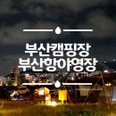 쑥쑥어린이공원(CCTV V111) | 부산 오토캠핑장 부산항힐링야영장 똥바람과 함께