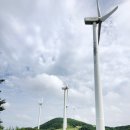 비아이929