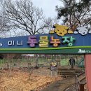 진도개테마파크 이미지