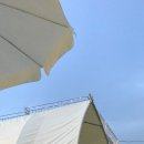 팔공포레스트 이미지