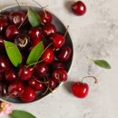 이즈메디 이미지