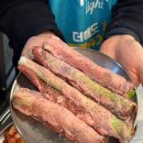 발산 마곡역 맛집 탄천갈매기 마곡본점 추천 후기