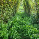 덕안농장 이미지