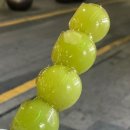 신사-107 이미지