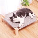 둥지애견 이미지