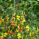 샛마을근린공원 이미지