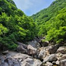 전주 알음산악회 정기산행 이미지