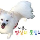 삼산평생동물병원 이미지
