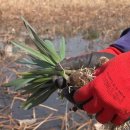 오동동010 이미지