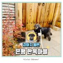 마을산책 | 은평구 한옥마을 주차장, 강아지동반 산책 후기
