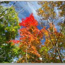 운주목장 이미지